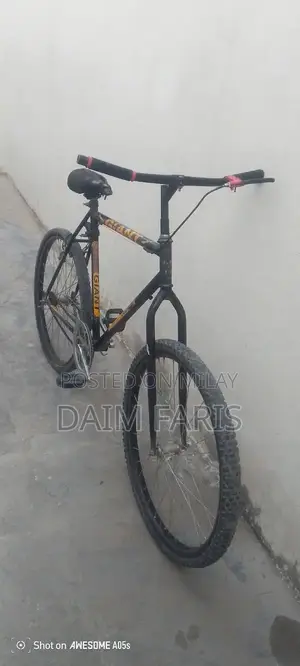 Well-Maintained Bicycle - Versatile City and Trail Ride