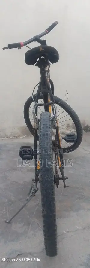 Well-Maintained Bicycle - Versatile City and Trail Ride