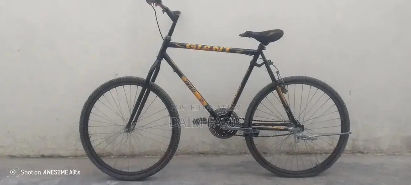 Well-Maintained Bicycle - Versatile City and Trail Ride