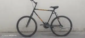 Well-Maintained Bicycle - Versatile City and Trail Ride