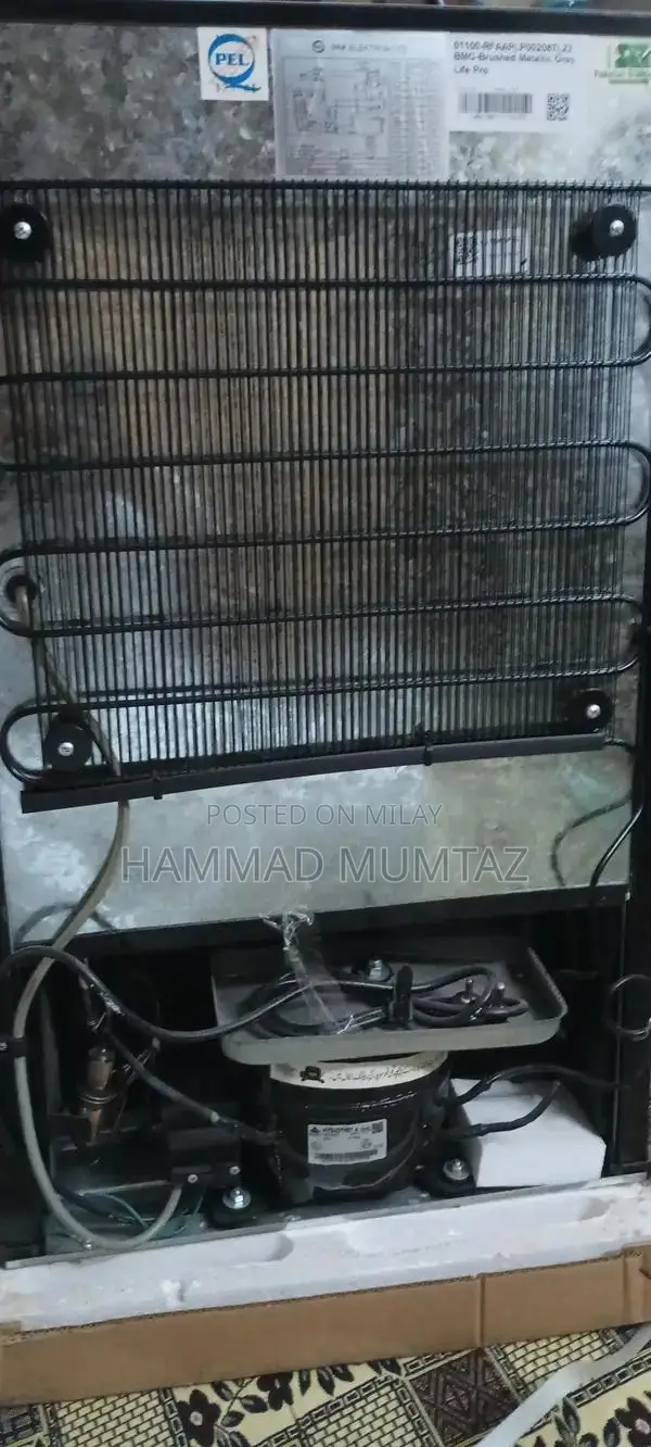 PEL Compact Room Refrigerator - Energy Efficient Small Space Solution