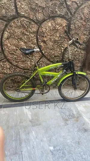 Photo - Classic Bicycle for Sale - Well-Maintained Cycling Ride