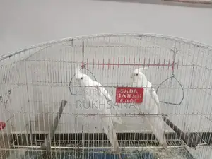 Red Eye Cocktail Glasses with Decorative Cage Design