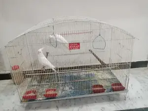 Red Eye Cocktail Glasses with Decorative Cage Design