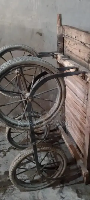 Commercial Rehri Cart with Load Carrying Capability