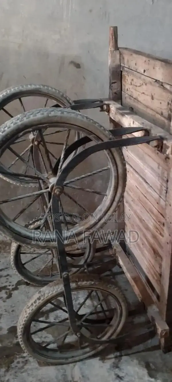 Commercial Rehri Cart with Load Carrying Capability