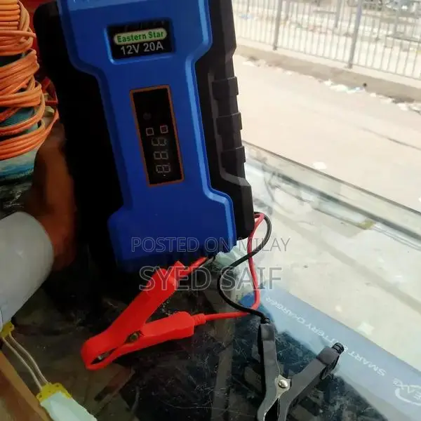 Eastern Star 20 Ampair Battery Charger with Auto Cut-Off