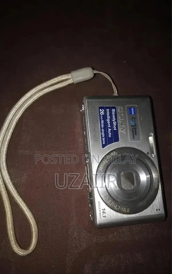 Sony Cyber-Shot DSC-W530 14.1MP Digital Camera with 4x Zoom