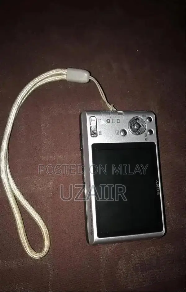 Sony Cyber-Shot DSC-W530 14.1MP Digital Camera with 4x Zoom