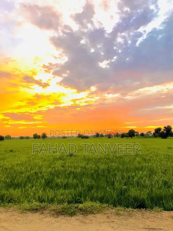 Black 32GB Smartphone - PTA Approved Device