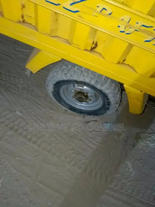 Tezz Raftaar Loader Riksha - Excellent Condition Vehicle