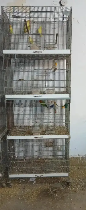 Sturdy Iron Angle Pet Cage for Small Animals
