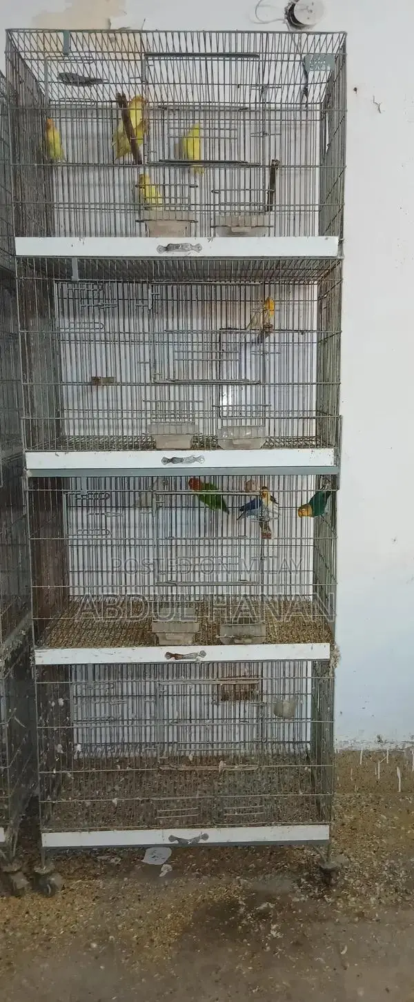 Sturdy Iron Angle Pet Cage for Small Animals