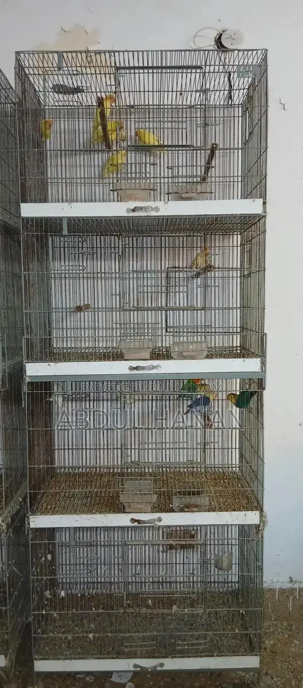Sturdy Iron Angle Pet Cage for Small Animals