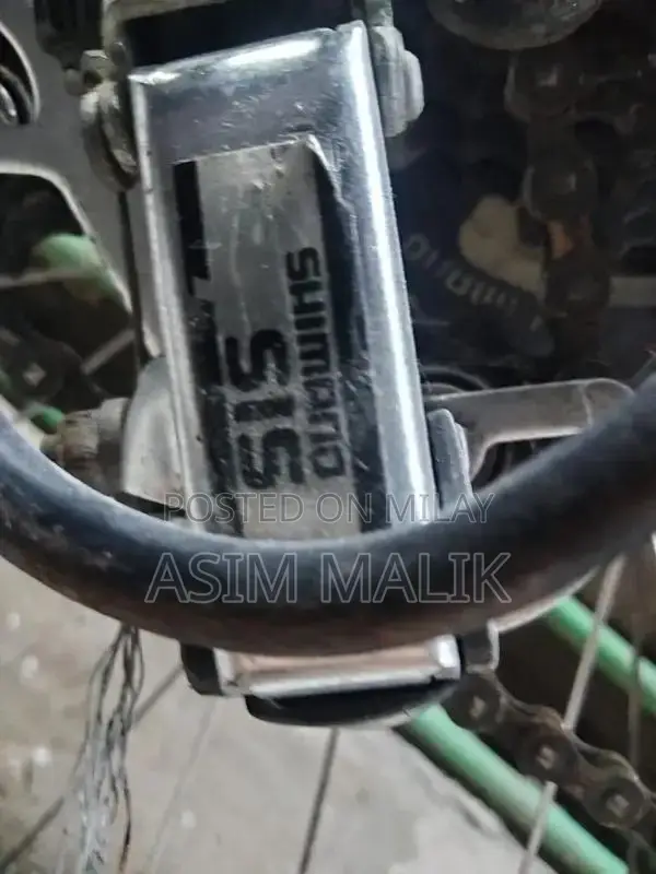 Japanese Mountain Bicycle with Aluminum Frame and SHIMANO Gears