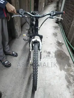 Japanese Mountain Bicycle with Aluminum Frame and SHIMANO Gears