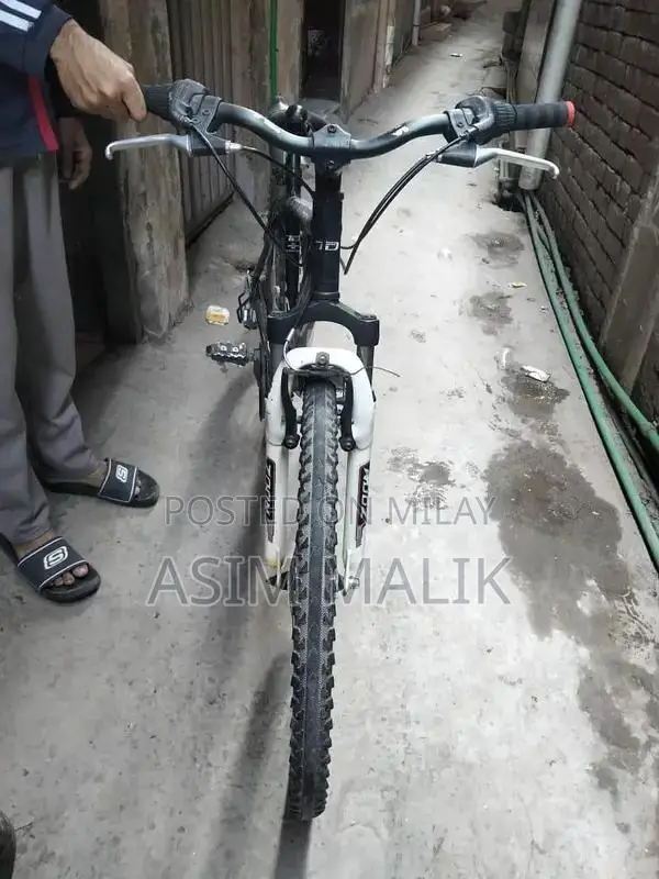 Japanese Mountain Bicycle with Aluminum Frame and SHIMANO Gears