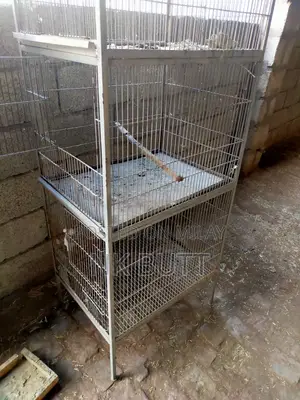 Photo - Iron Cage |Metal 4 Portion