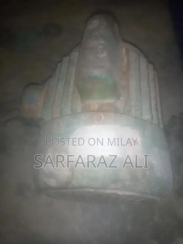 0.5 HP Electric Motor for Donkey Pump