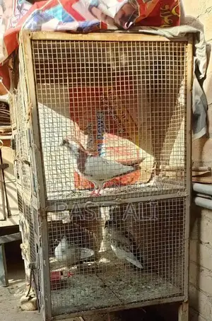 Compact 4-Section Bird Cage with Waterproof Interior