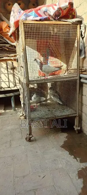 Compact 4-Section Bird Cage with Waterproof Interior