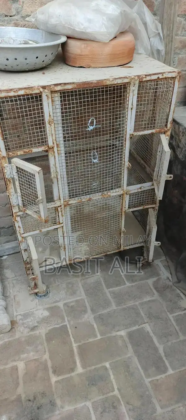 Compact 4-Section Bird Cage with Waterproof Interior