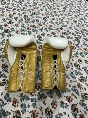 Professional Boxing Gloves - Brand New Sports Equipment