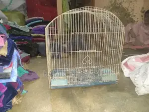 Professional Bird Catching Equipment and Cage Accessory