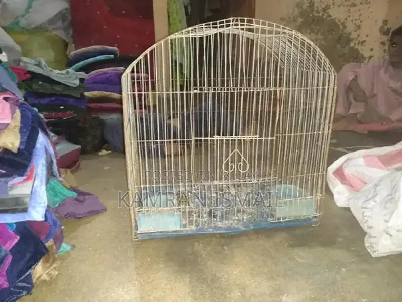 Professional Bird Catching Equipment and Cage Accessory