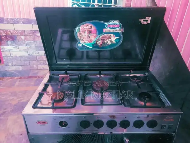 Professional Electric Cooking Range for Home Kitchen