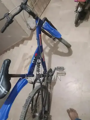 Morgan Cycle 26-Inch Blue Mountain Bike with Disk Brakes