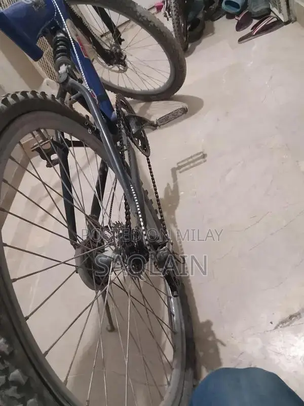 Morgan Cycle 26-Inch Blue Mountain Bike with Disk Brakes