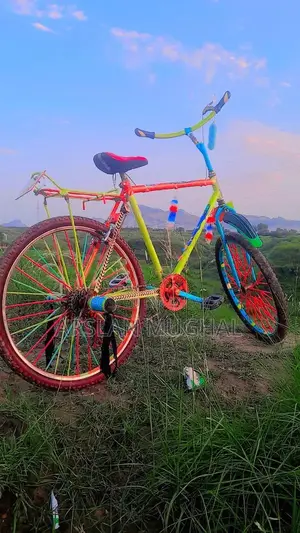 Adult Mountain Bicycle - Durable Outdoor Cycling Bike