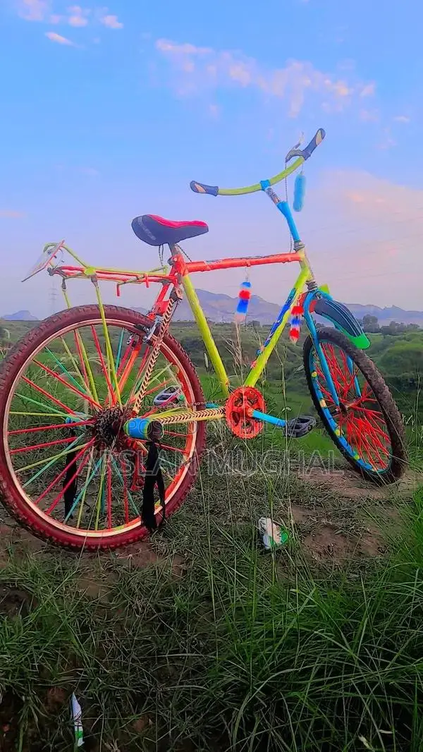 Adult Mountain Bicycle - Durable Outdoor Cycling Bike