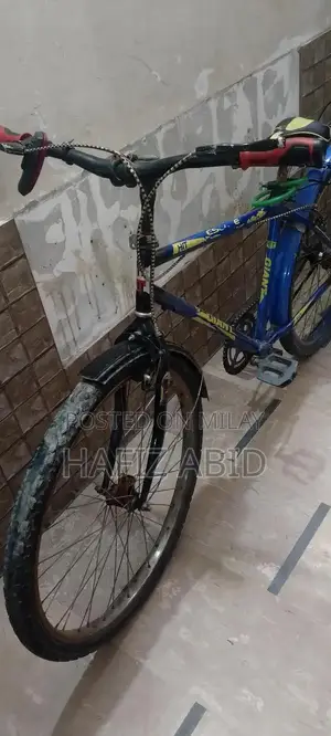 Photo - Single-Hand Bicycle for Personal Use