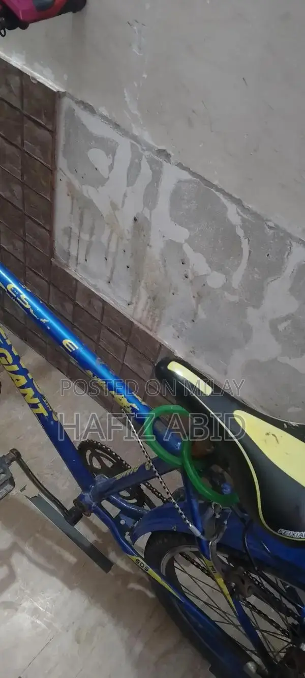 Single-Hand Bicycle for Personal Use