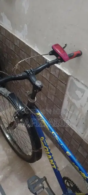 Single-Hand Bicycle for Personal Use