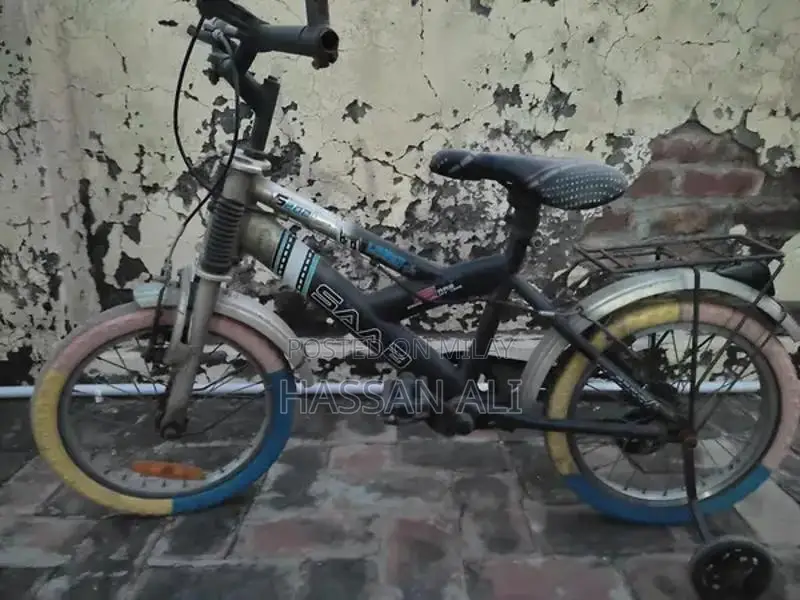 Used Bicycle in Good Condition with Well-Maintained Tires
