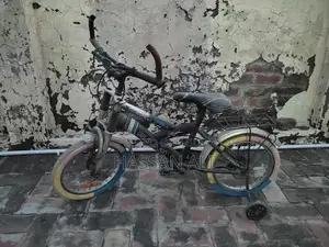 Used Bicycle in Good Condition with Well-Maintained Tires
