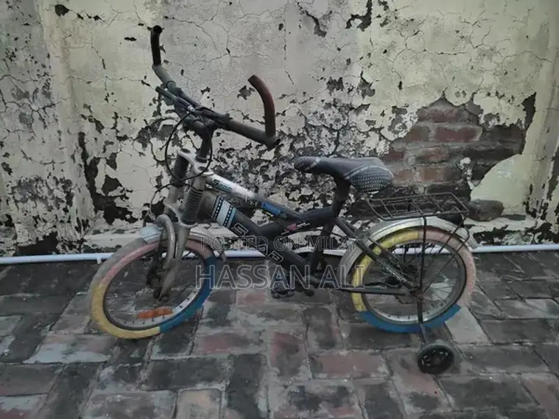 Used Bicycle in Good Condition with Well-Maintained Tires