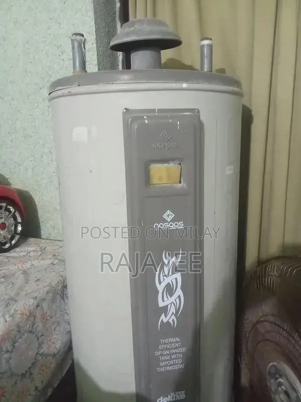 Electric and Gas Dual System Water Heater