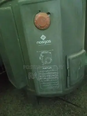 Electric and Gas Dual System Water Heater