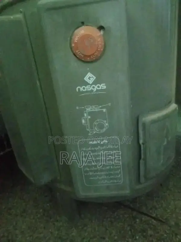 Electric and Gas Dual System Water Heater