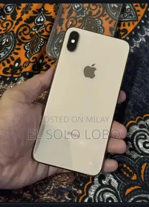 Dual SIM 512GB iPhone XS Max Smartphone
