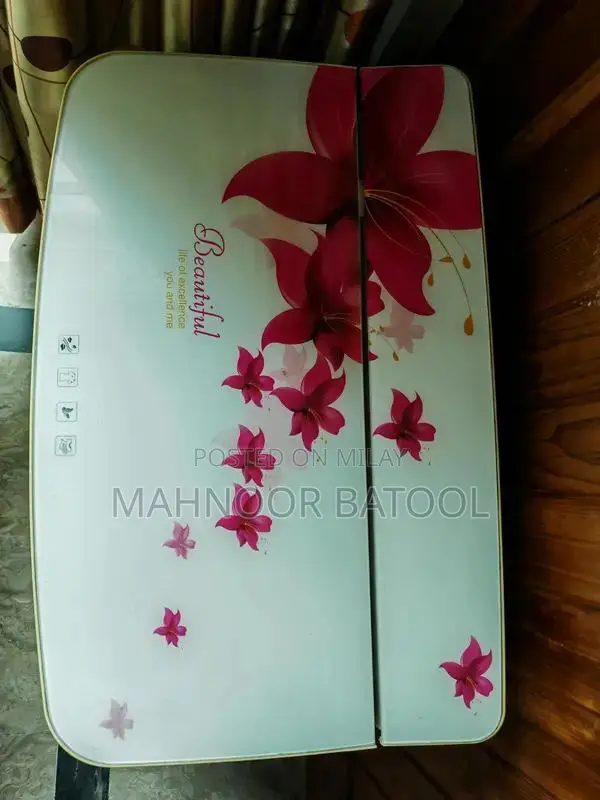 Compact Portable Mini Washing Machine with Spinner