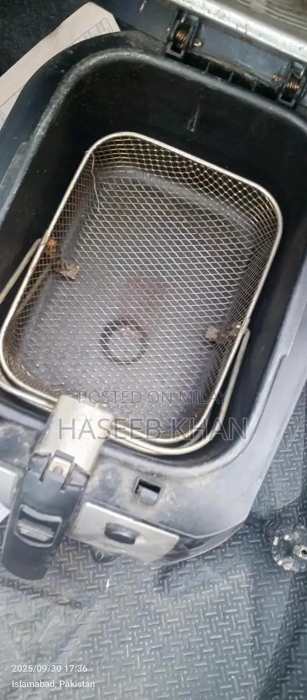 Professional Home Kitchen Deep Fryer Appliance