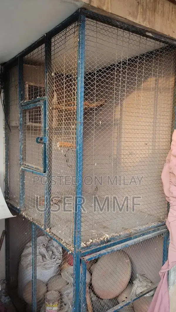 2-Portion Metal Bird Cage for Large Parrots and Francolins