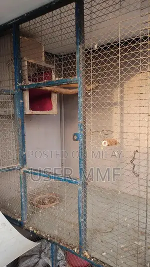 2-Portion Metal Bird Cage for Large Parrots and Francolins