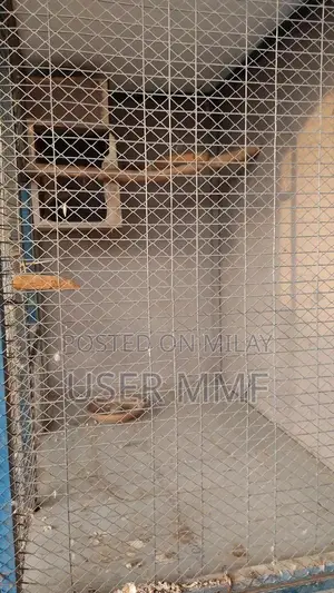 2-Portion Metal Bird Cage for Large Parrots and Francolins