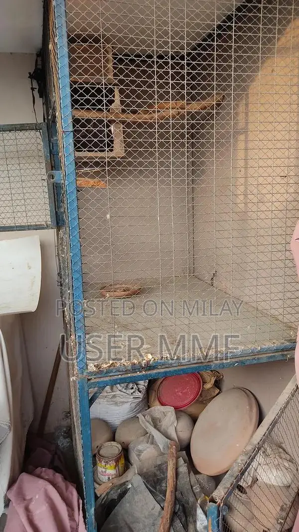 2-Portion Metal Bird Cage for Large Parrots and Francolins